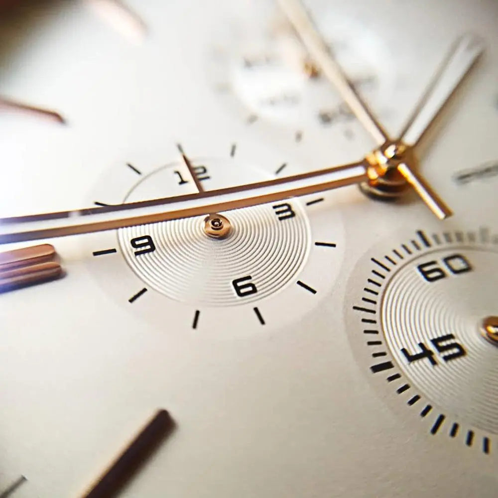 PAGANI DESIGN 2720K Men's Quartz Watch